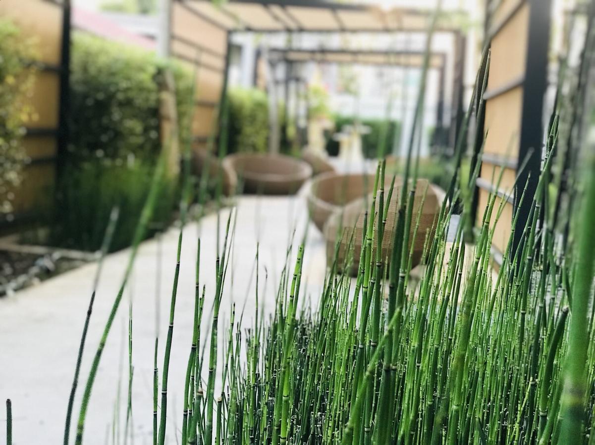 צ'יאנג מאי Astra Suites Central מראה חיצוני תמונה