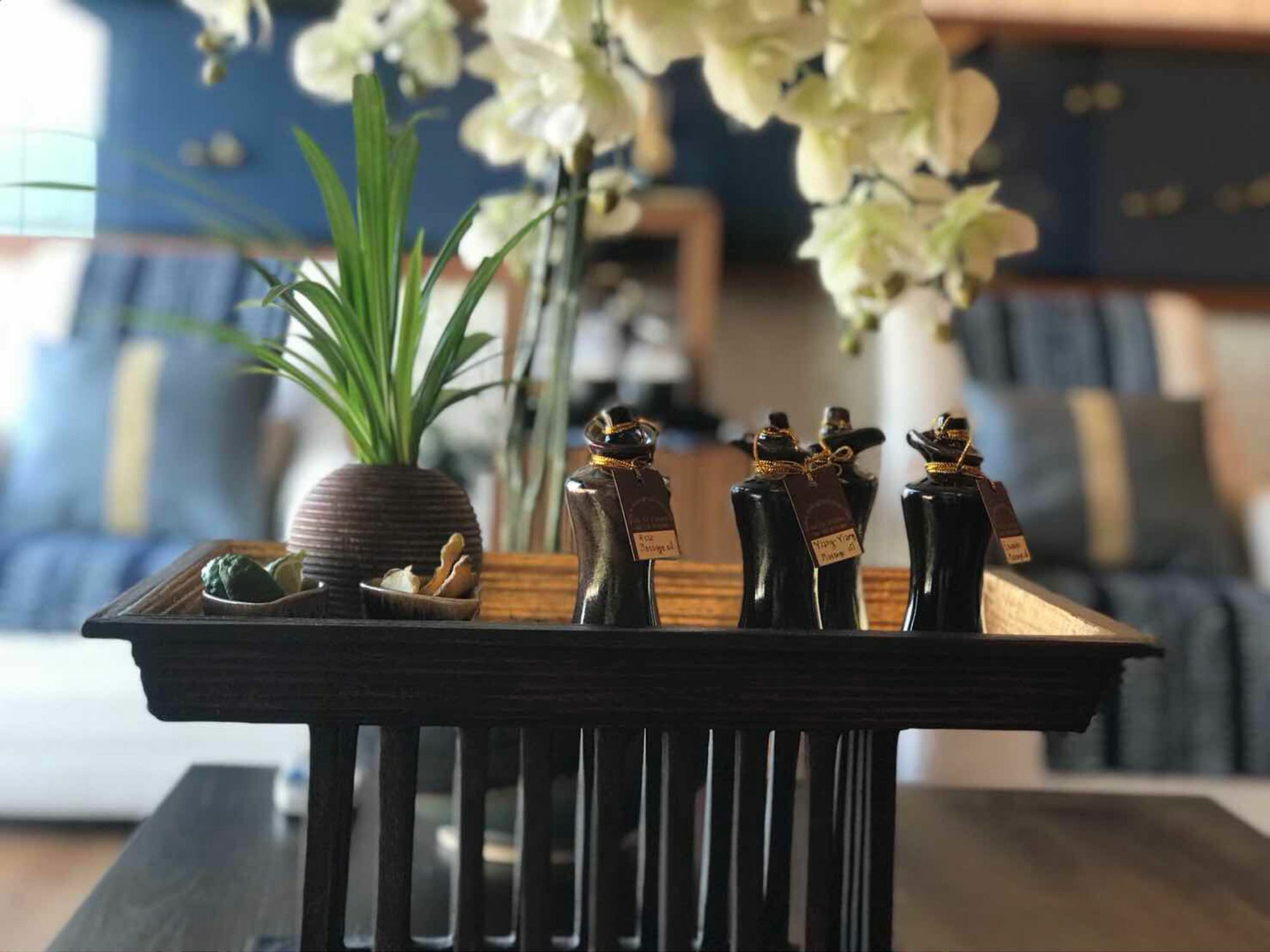 צ'יאנג מאי Astra Suites Central מראה חיצוני תמונה